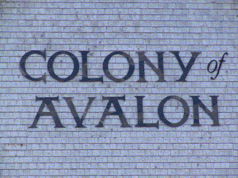 Back to Colony of Avalon .com hompage